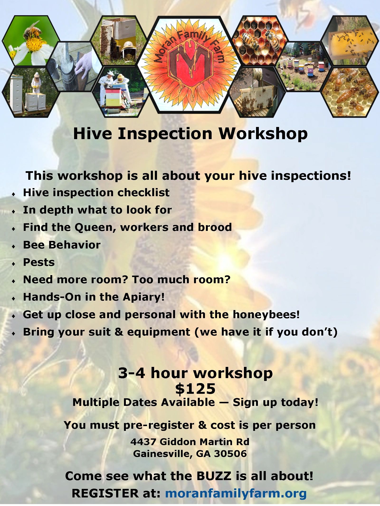 Hive Inspection Workshop